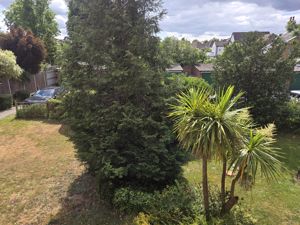 Lovely view - click for photo gallery